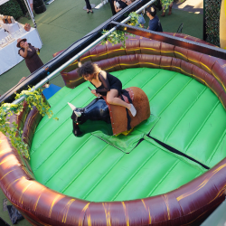 Bucking Bull