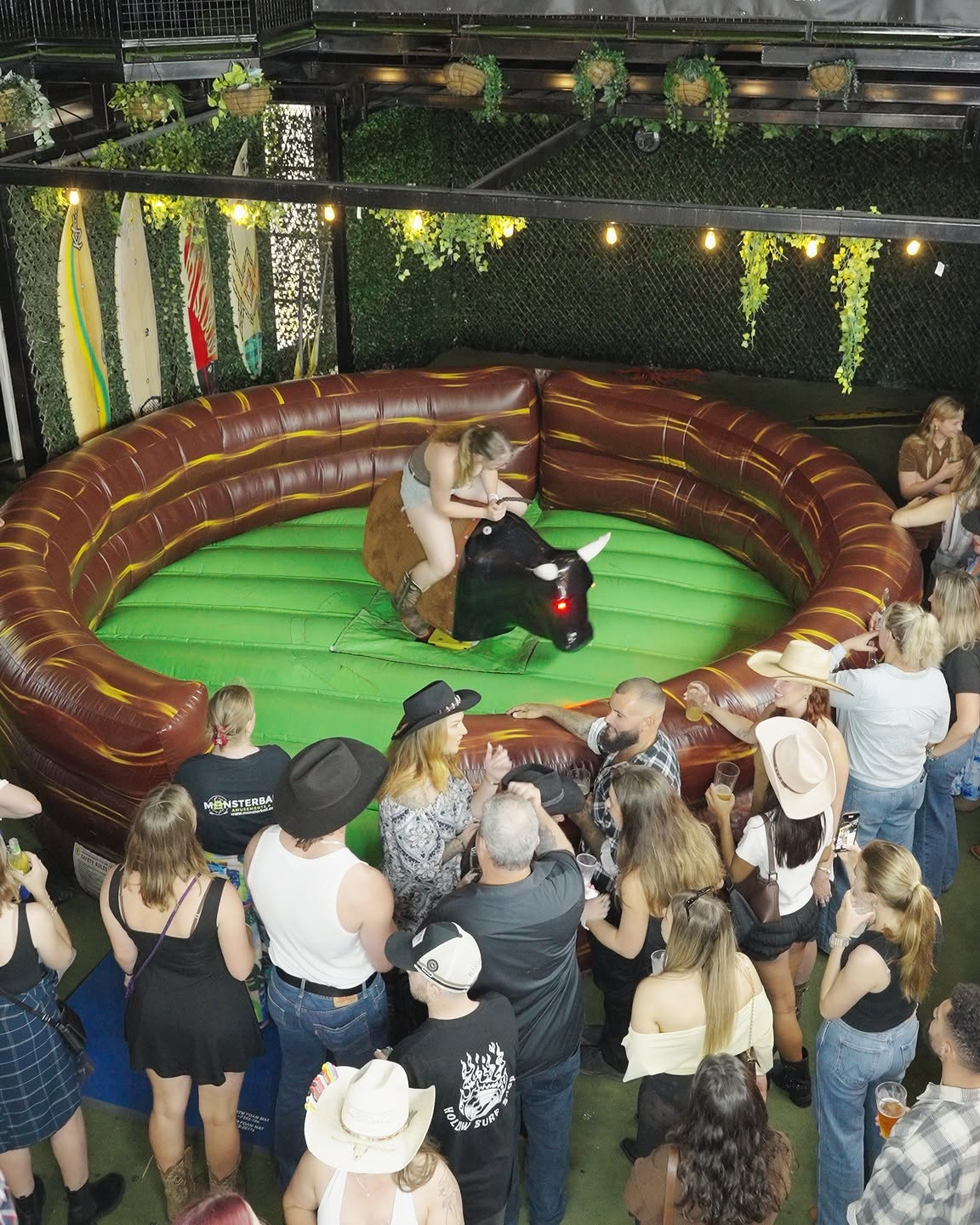 Bucking Bull Hire in Perth What to Know Before Booking for Your Event